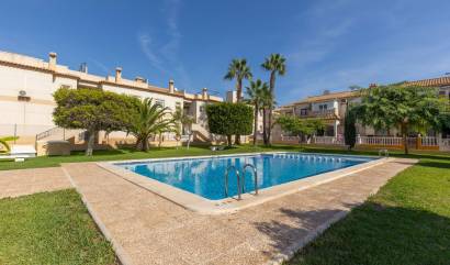 Alquiler a largo plazo - Bungalow - Torrevieja - Zona los Frutales