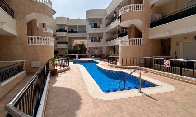 Apartment - Sale - Jacarilla - Jacarilla