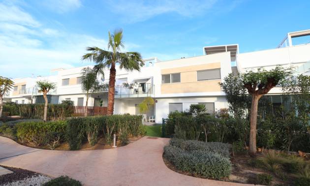 Apartment - Sale - Los Montesinos - Los Montesinos