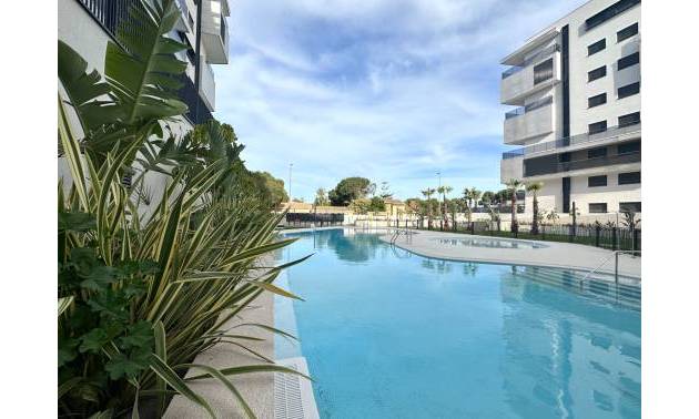 Apartment - Sale - Orihuela Costa - Dehesa de campoamor