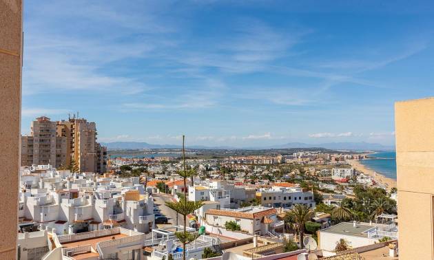 Apartment - Sale - Torrevieja - Cabo Cervera
