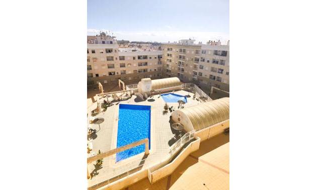 Apartment - Sale - Torrevieja - Torrevieja