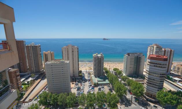 Apartment - Venta - Benidorm - Benidorm