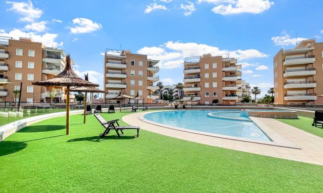 Apartment - Venta - Guardamar del Segura - El Raso