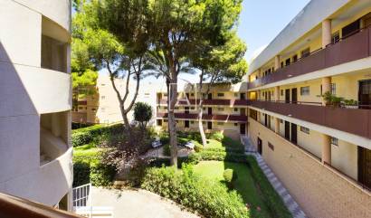 Apartment - Venta - Mil Palmeras - AP-1094