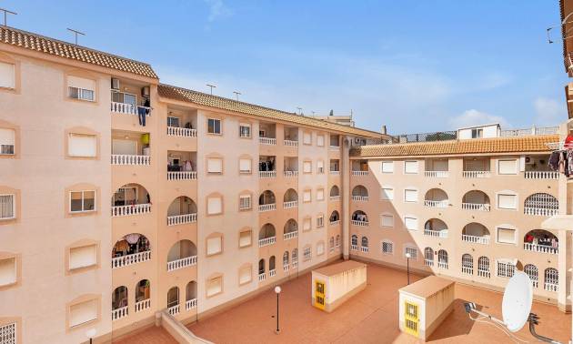 Apartment - Venta - Torrevieja - Estacion de autobuses