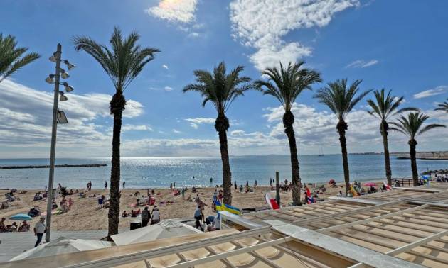 Apartment - Venta - Torrevieja - Torrevieja