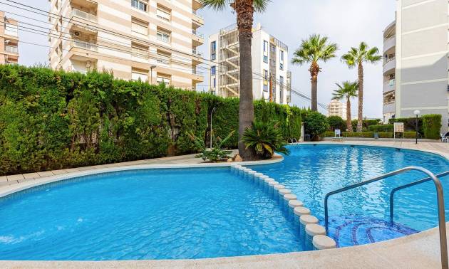 Apartment - Venta - Torrevieja - Torrevieja