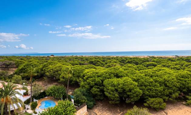Appartment - Bestaande woningen - Guardamar del Segura - Lomas de Polo-Pinomar