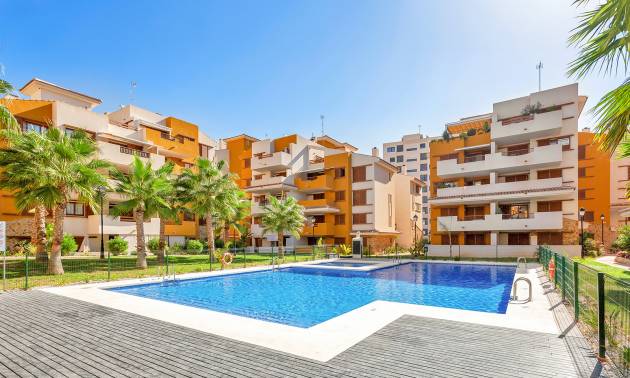 Appartment - Bestaande woningen - Punta Prima - La Recoleta