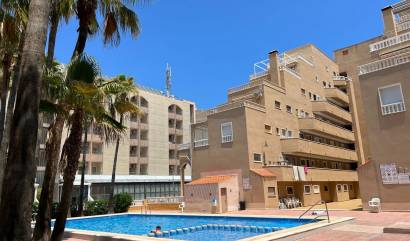 Bestaande woningen - Appartement / flat - Punta Prima - Punta Prima Torrevieja