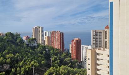 Bestaande woningen - Appartment - Alicante (Costa Blanca) - Alicante