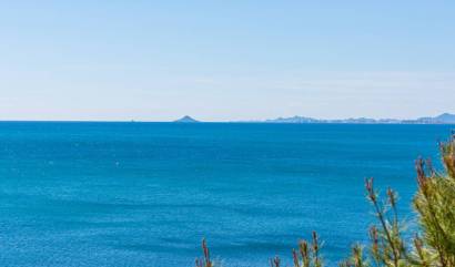 Bestaande woningen - Appartment - Cabo Roig