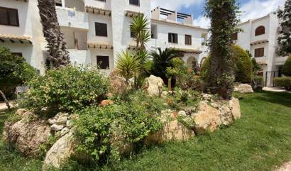 Bestaande woningen - Appartment - Ciudad Quesada