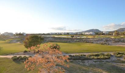 Bestaande woningen - Appartment - Hacienda Riquelme Golf Resort