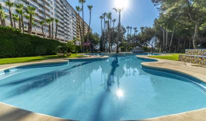 Bestaande woningen - Appartment - Orihuela Costa - Campoamor