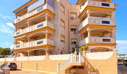 Bestaande woningen - Appartment - Orihuela Costa - La Zenia