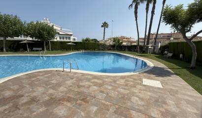 Bestaande woningen - Appartment - Orihuela Costa - La Zenia