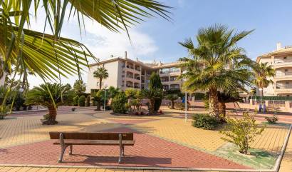 Bestaande woningen - Appartment - Orihuela Costa - Playa Flamenca