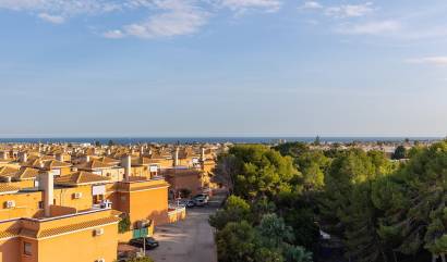 Bestaande woningen - Appartment - Orihuela Costa - Playa Flamenca