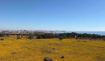 Bestaande woningen - Appartment - Orihuela Costa - Punta Prima