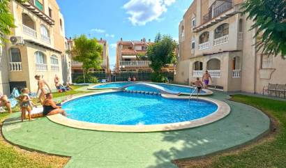 Bestaande woningen - Appartment - Orihuela Costa - Torrevieja