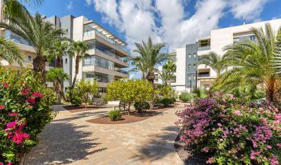 Bestaande woningen - Appartment - Orihuela Costa - Villamartín