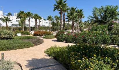 Bestaande woningen - Appartment - Orihuela - Entre Naranjos Vistabella Golf