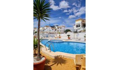 Bestaande woningen - Appartment - Orihuela - Entre Naranjos Vistabella Golf