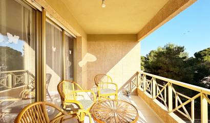 Bestaande woningen - Appartment - Orihuela - Orihuela Costa