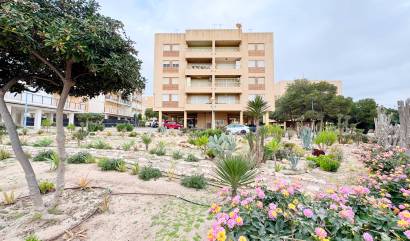 Bestaande woningen - Appartment - Orihuela - Orihuela Costa