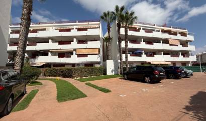 Bestaande woningen - Appartment - Orihuela - Playa Flamenca