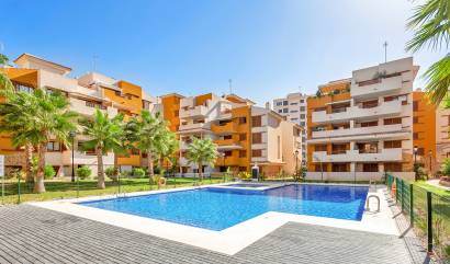 Bestaande woningen - Appartment - Punta Prima - La Recoleta