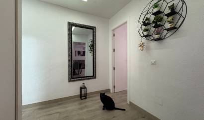 Bestaande woningen - Appartment - Torrevieja - Centro