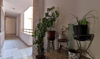 Bestaande woningen - Appartment - Torrevieja - Estacion de autobuses