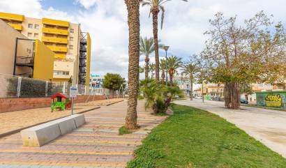 Bestaande woningen - Appartment - Torrevieja - Estacion de autobuses