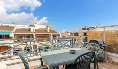 Bestaande woningen - Appartment - Torrevieja - Habaneras