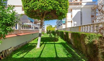 Bestaande woningen - Appartment - Torrevieja - La Mata