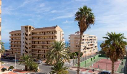 Bestaande woningen - Appartment - Torrevieja - La Mata