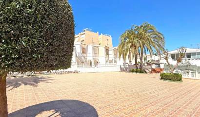 Bestaande woningen - Appartment - Torrevieja - La Mata