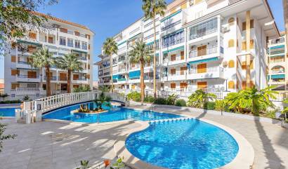 Bestaande woningen - Appartment - Torrevieja - Los Europeos