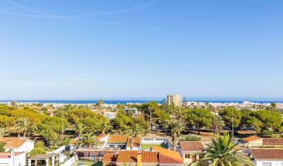 Bestaande woningen - Appartment - Torrevieja - Nueva Torrevieja