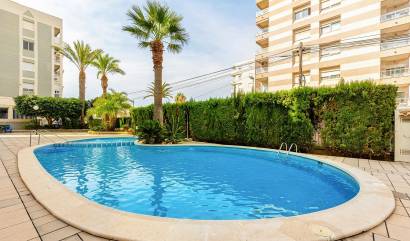 Bestaande woningen - Appartment - Torrevieja - Nueva Torrevieja