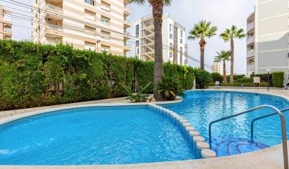 Bestaande woningen - Appartment - Torrevieja - Nueva Torrevieja