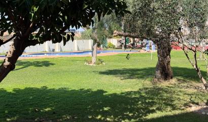 Bestaande woningen - Appartment - Torrevieja - Parque de las Naciones