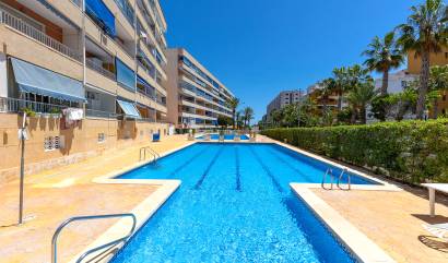 Bestaande woningen - Appartment - Torrevieja - Rocio del mar
