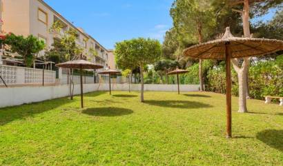 Bestaande woningen - Appartment - Torrevieja - Torreblanca