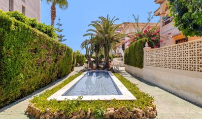 Bestaande woningen - Appartment - Torrevieja - Torreblanca