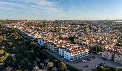 Bestaande woningen - Appartment - Torrevieja