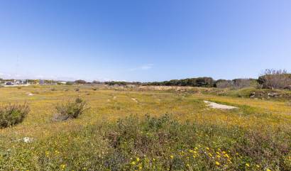 Bestaande woningen - Bungalow - Guardamar del Segura - Urbanizaciones